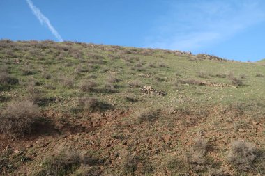 yeşil bozkır tepelerinin doğal görünümü