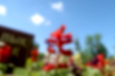 Bulanık arka plan kırmızı çiçekler