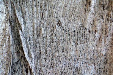 Eski gri yırtık pırtık kumaş bez