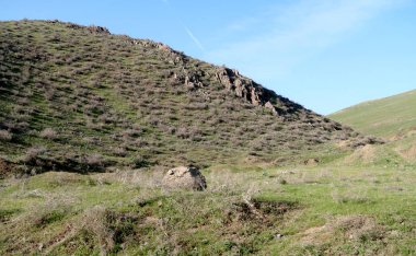 yeşil bozkır tepelerinin doğal görünümü