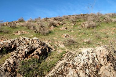 yeşil bozkır tepelerinin doğal görünümü