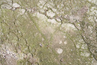 Eski beton duvar arka planı