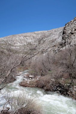 Nehir dağlarda, erken bahar