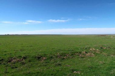 Yeşil çayır çimen ekilebilir, bahar