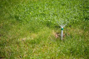 Sulama sistemi yeşil çim sulama