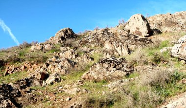 yeşil bozkır tepelerinin doğal görünümü