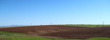 Yeşil çayır çimen ekilebilir, bahar