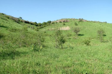 Yeşil tepeler tepeler bahar