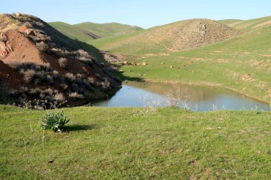 yeşil bozkır tepelerinin doğal görünümü