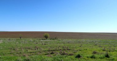Yeşil çayır çimen ekilebilir, bahar