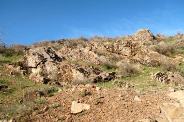 yeşil bozkır tepelerinin doğal görünümü
