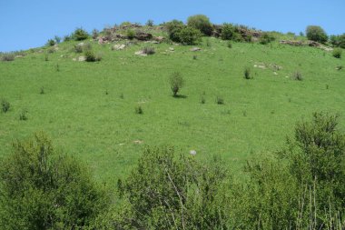 Yeşil tepeler tepeler bahar