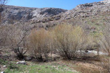 Dağlar taşlar, hills, çayırlar, bahar manzara