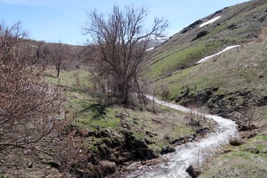 Nehir dağlarda, erken bahar