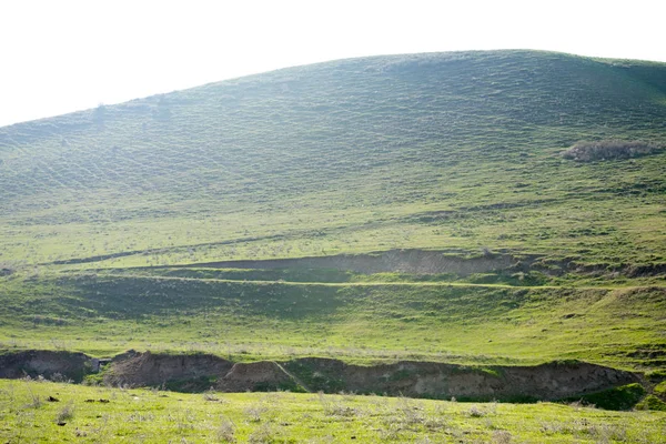 Malowniczy Widok Wzgórza Zielony Stepowy — Zdjęcie stockowe