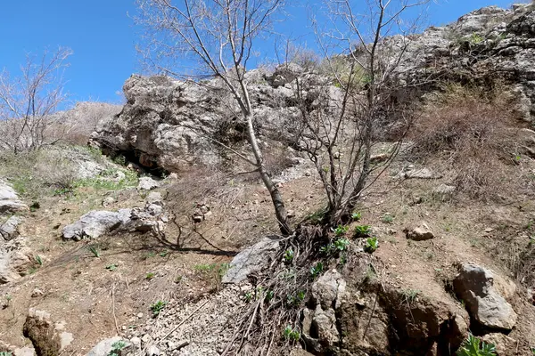 Горные Камни Холмы Зеленые Луга Весенний Пейзаж — стоковое фото