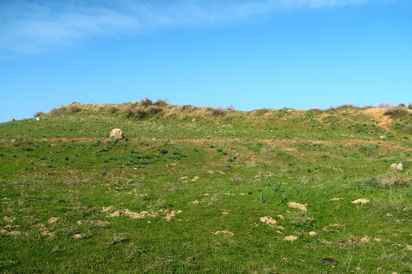 緑の草原の丘の眺望 — ストック写真