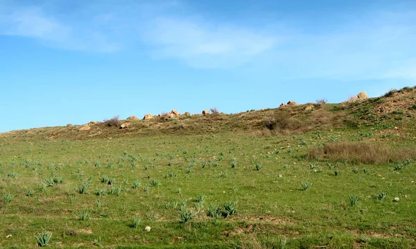 Vue Panoramique Sur Les Collines Verdoyantes Steppe — Photo