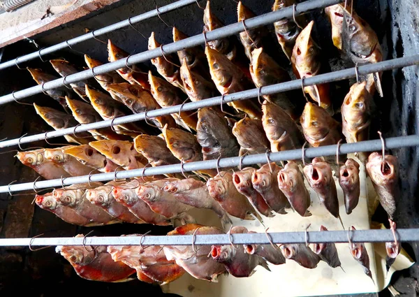 Είναι Αποξηραμένα Καπνιστά Ψάρια — Φωτογραφία Αρχείου