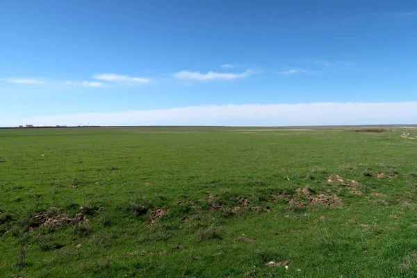 Yeşil çayır çimen ekilebilir, bahar