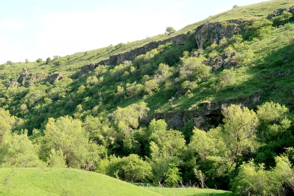 Groene Heuvels Voorjaar Heuvels — Stockfoto