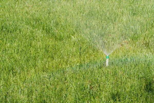 Irrigatie Systeem Drenken Het Groene Gras — Stockfoto