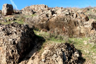 yeşil bozkır tepelerinin doğal görünümü