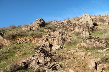 yeşil bozkır tepelerinin doğal görünümü