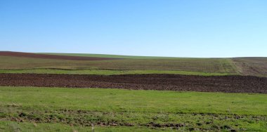 Yeşil çayır çimen ekilebilir, bahar