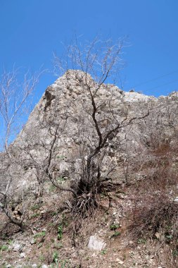 Dağlar taşlar, hills, çayırlar, bahar manzara