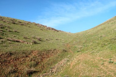 yeşil bozkır tepelerinin doğal görünümü