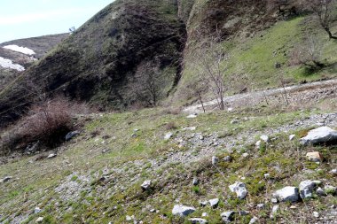 Dağlar taşlar, hills, çayırlar, bahar manzara