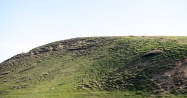 Yeşil bozkır hills, doğa.