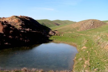 Küçük Gölet ile yeşil bozkır hills