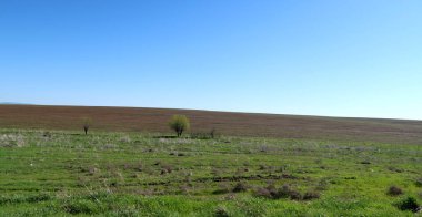 Yeşil çayır çimen ekilebilir, bahar