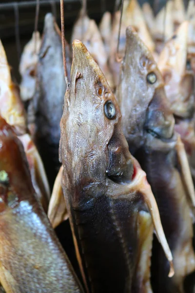 Копченая Рыба Высохла — стоковое фото