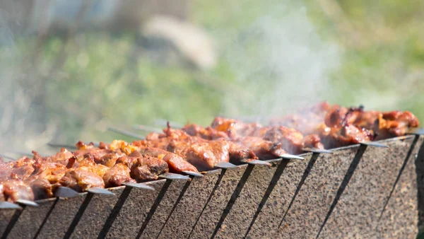 Lamb Shish Kebab Grilling Barbeque — Stock Photo, Image