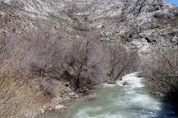 River Mountains Early Spring — Stock Photo, Image