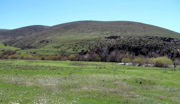 山の石の丘 緑の牧草地 春の風景 — ストック写真