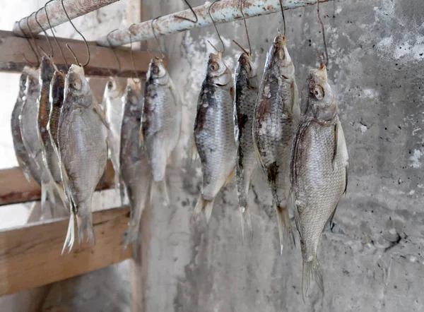 Fish Dried — Stock Photo, Image