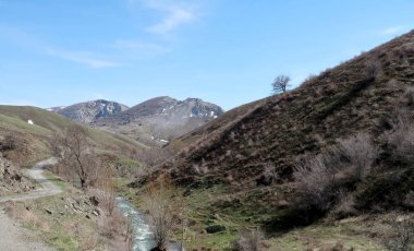 Dağlar taşlar, hills, çayırlar, bahar manzara