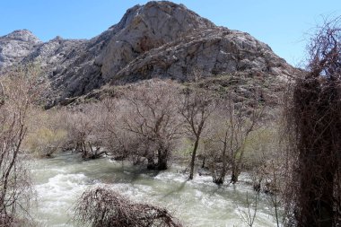 Nehir dağlarda, erken bahar