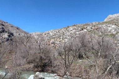 Nehir dağlarda, erken bahar