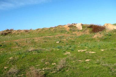 Yeşil bozkır hills, doğal arka plan.