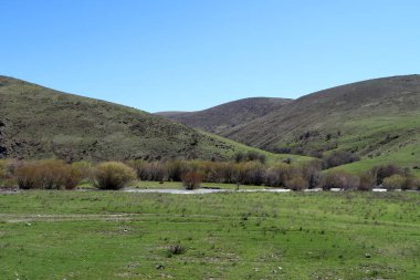 Dağlar taşlar, hills, çayırlar, bahar manzara