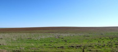 Yeşil çayır çimen ekilebilir, bahar