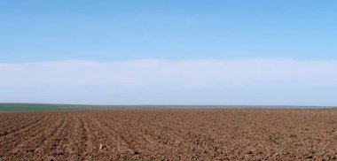 Yeşil çayır çimen ekilebilir, bahar