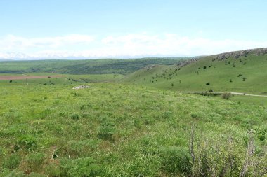 Yeşil tepeler tepeler bahar