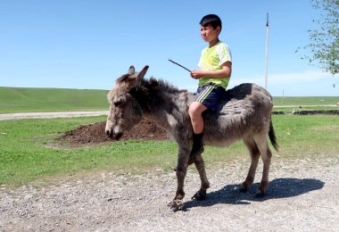Kazakhstan, Shymkent - April 23, 2017. Kazakh boy on the donkey. Spring clipart
