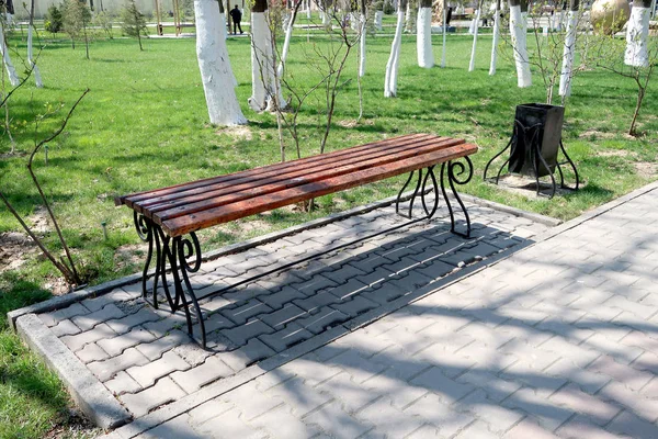 Wooden Bench Park Spring — Stock Photo, Image